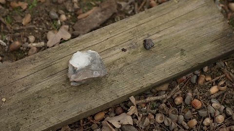 Earliest known human-made fire uncovered in the UK 研究人员在英国发现了已知最早的人类取火痕迹