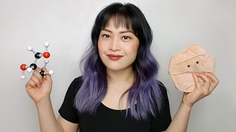 Dr Michelle Wong with long wavy purple hair wearing a black shirt, holding a molecular model in one hand and a beige plush anatomical model in the other against a plain background