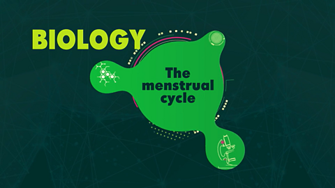 Biology: Changes that occur during the menstrual cycle