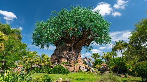 On a sunny say with a bright blue sky and white clouds is the 'Tree of Life' inspired by the Disney film The Lion King. Surrounded by bright green grass and bushes, at the centre is the tree, with a thick winding trunk and dark green leaves at the top