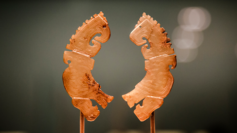 Shang dynasty period jade on display in a museum.