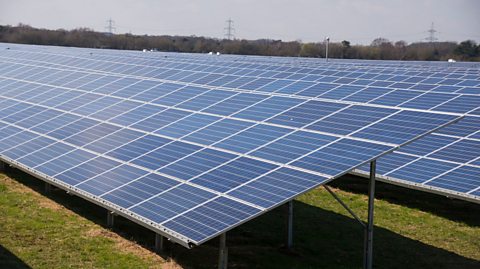 Large fields filled with rows of solar panels.