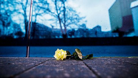 A single yellow rose lies on a stone pavement in front of reflective glass panels at a memorial site, captured in a quiet, somber moment.