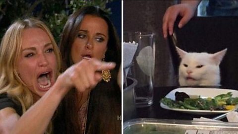 The image on the left shows The Real Housewives of Beverly Hills cast members Taylor Armstrong and Kyle Richard. On the right is a picture of a white cat sitting behind a dinner plate with vegetables