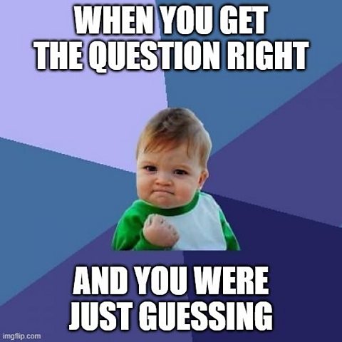 A version of the Success Kid meme, showing a determined looking baby curling his fist, on a purple background with the words "When you get the question right and you were just guessing"