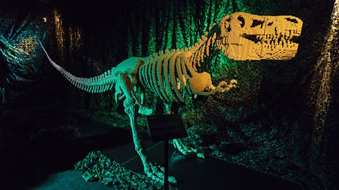 A Lego version of a Tyrannosaurus rex dinosaur made up of more than 80,000 beige coloured Lego bricks. It is cast in a green light.
