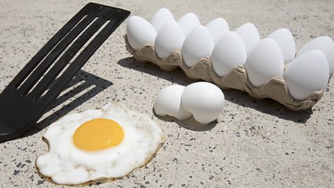 A fried egg is placed on a pavement, with a spatula and carton of eggs in the background. It's heavily implied that this has been set up and isn't real