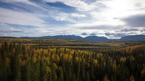 Dani Lefrancois Unlike Banff and Jasper, the area around the rail trail is free from crowds (Credit: Dani Lefrancois)