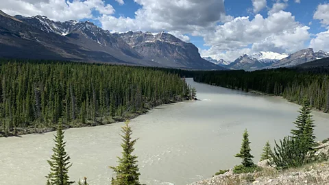 Getty Images Travellers can pull off the trail to paddle the North Saskatchewan River (Credit: Getty Images)