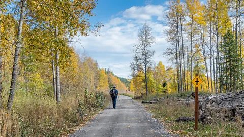 Aslinah Safar The new trail reveals a little-known glimpse of Alberta's pioneering past (Credit: Aslinah Safar)