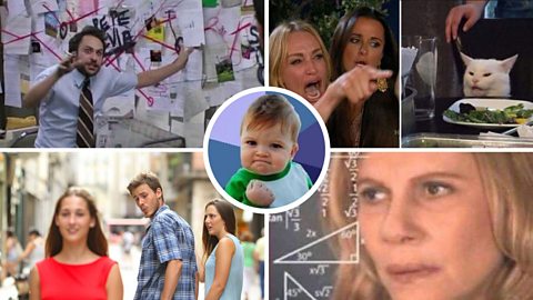 A collage of the five different social media memes referred to in this article