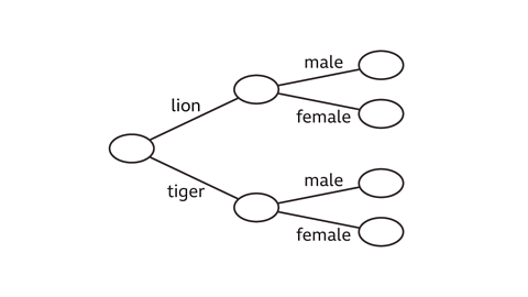 A tree diagram showing an initial choice between lion and tiger. Each then branches into two further options: male and female. Four empty end nodes appear at the ends of these branches.