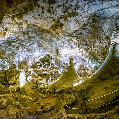 Getty Images The researchers made their extraordinary find beyond the popular tourist trail of Carlsbad Caverns (Credit: Getty Images)