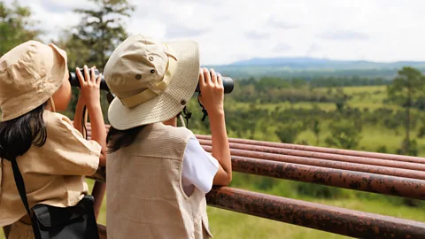 Getty Images Two children wearing sun hats look through binoculars onto a rural landscape from a wooden viewing platform (Credit: Getty Images)