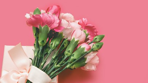 Bouquet of pink flowers