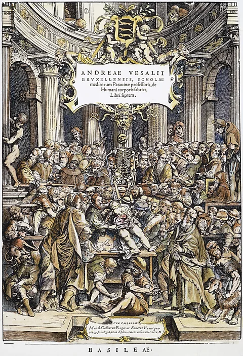 Alamy The illustrated title page of a 1543 anatomy book depicts the dissection of a woman's body as a spectacle (Credit: Alamy)