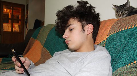 teen boy scrolling on his phone on a sofa, watched by his cat
