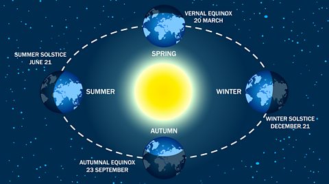 Earth seasons diagram. Autumnal and vernal equinoxes, winter and summer solstices