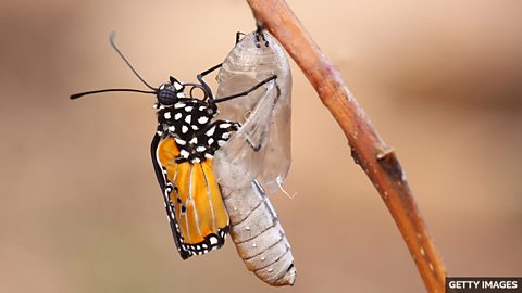 四个包含单词 “change” 的短语