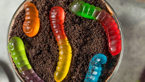Brightly coloured gummy worms on a bed of chocolate soil, inside a jar, from a top down view