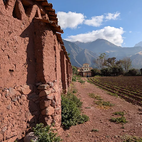 Alexandra Marvar Terraced farmland often sits next to original Incan stone walls in the Sacred Valley (Credit: Alexandra Marvar)