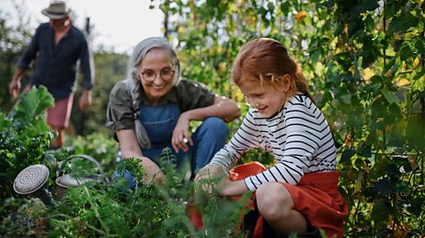 A grandmother and granddaughter gardening together