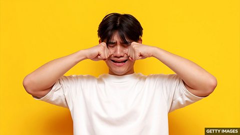 Why tears make humans unique 眼泪为什么让人类显得独特