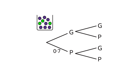 A probability tree diagram showing the colours of two balls drawn from a container. The container illustration shows mostly purple balls and some green balls. The first branch splits into G for green and P for purple, with the probability of drawing a purple ball labelled as 0.7. From each branch, a second draw is shown, with branches to G and P again. No second-draw probabilities are labelled.