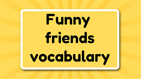 Funny friends vocabulary