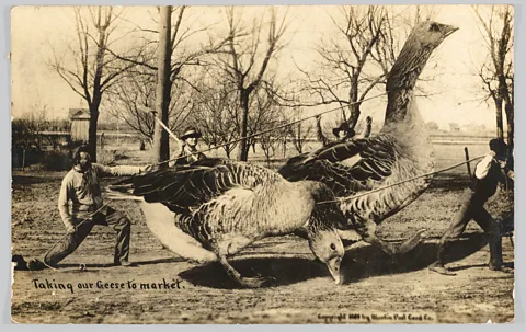 Courtesy of the Rijksmuseum (Credit: Courtesy of the Rijksmuseum)