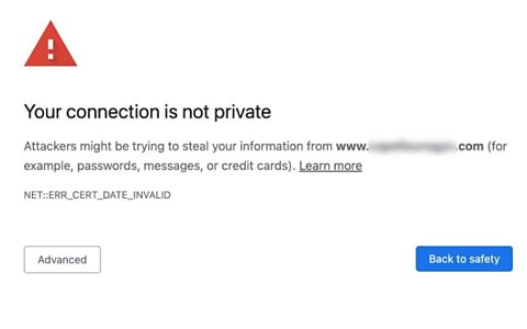 Screenshot of a web page with the message "Your connection is not private" and a warning that attackers "might be trying to steal your information"