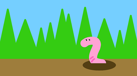 Blue sky with green spiked grass on brown ground and a pink worm