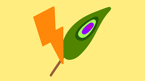 A yellow background with a light green feather and orange lightening bolt