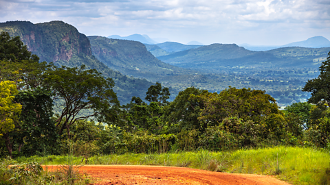 The rainforest landscape of modern-day Benin.