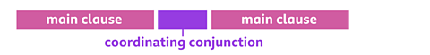 An infographic showing a coordinating conjunction connecting two main clauses.