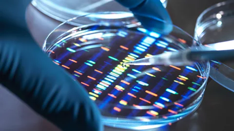 Getty Images DNA can hold a huge amount of data and its storage requirements aren't energy intensive, prompting some to view it as the perfect data storage medium (Credit: Getty Images)