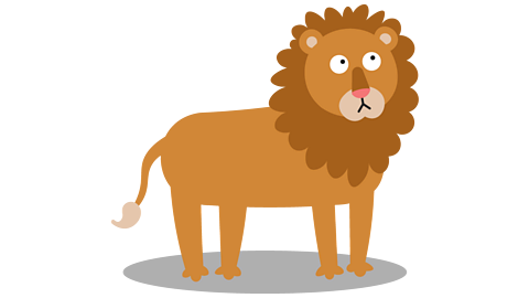 A lion.