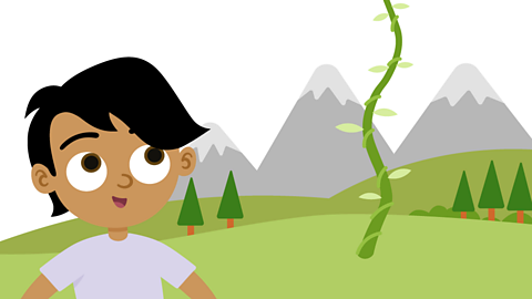 Jack looks at the tall, twisted beanstalk.