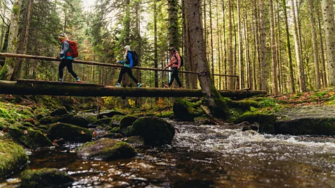 Pohorje-Kozjak Trail The Pohorje-Kozjak trail threads Slovenia's under-explored eastern corner (Credit: Pohorje-Kozjak Trail)
