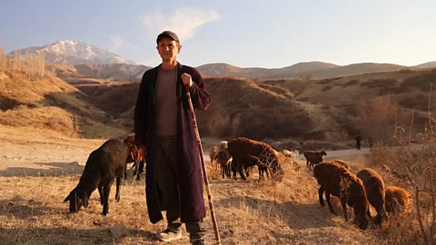 India Latham Goat herder Askar Khasanovich Shermatov calls snow leopards "scary, but beautiful" animals (Credit: India Latham)