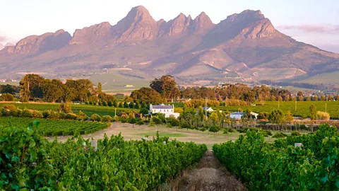 Alamy Cape Town's warm, sunny late-summer days are the sweet spot for spring break in the opposite hemisphere (Credit: Alamy)