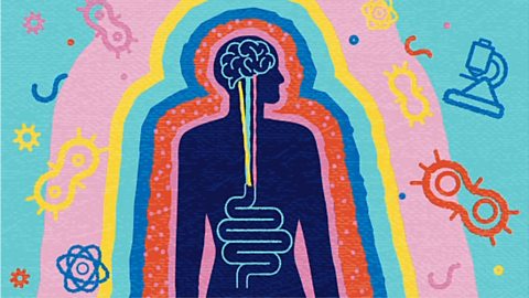 A colourful illustration of a body representing the brain-gut axis. The illustration shows a body with an illustration of the brain and gut connected, with rainbow outlines around the body and illustrations of small bacteria