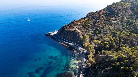 Getty Images The shores of California's Catalina Island are alive with kelp forests – and mermaids (Credit: Getty Images)