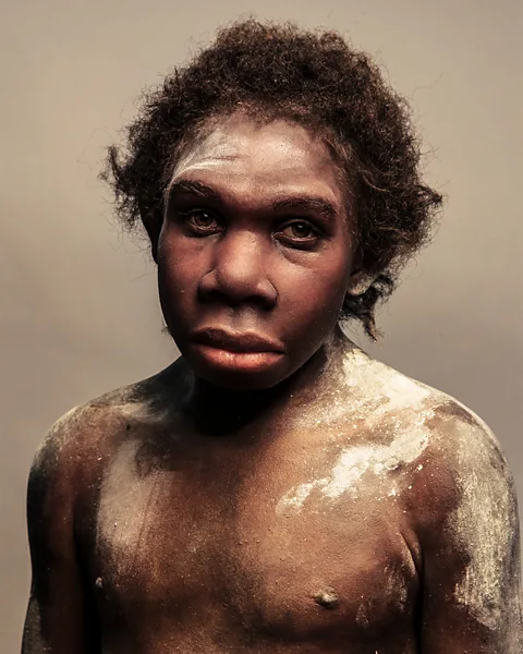 S Entressangle/ E Daynes/ Science Photo Library Homo erectus may be the first of our ancient relatives to cook food (Credit: S Entressangle/ E Daynes/ Science Photo Library)