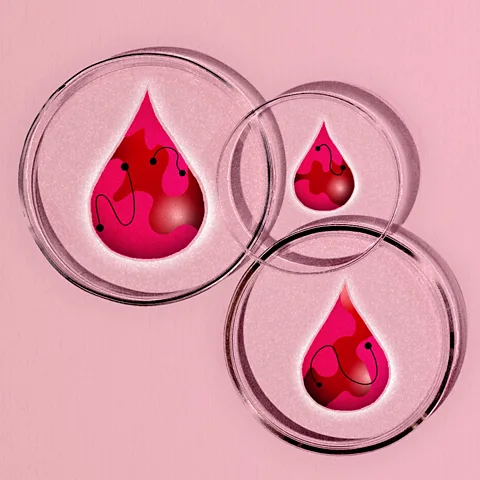 Serenity Strull/ BBC Studying menstrual blood could be useful in predicting the risk of developing future conditions such as diabetes (Credit: Serenity Strull/ BBC)
