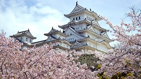 A shot of the white Himeji Castle surrounded by cherry blossom