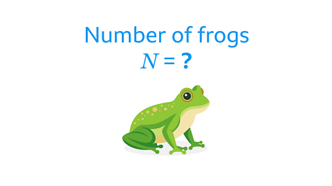 Number of frogs 𝑁 = ?