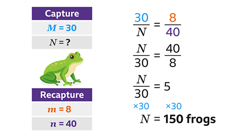 30/N = 8/40, N/30 = 40/8. N/30 = 5, so N = 150 frogs