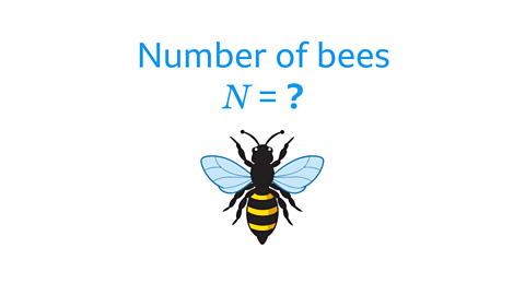 Number of bees 𝑁 = ?