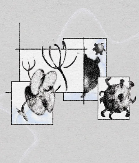 Serenity Strull/ BBC People who have allergies may experience more respiratory infections because their mucous membranes are more likely to be inflamed (Credit: Serenity Strull/ BBC)